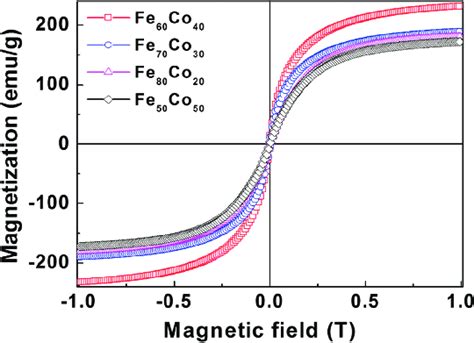 The Magnetization Curves Of Feco Nanoparticles At Different