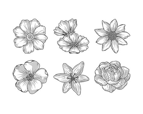 Premium Vector | Flowers floral nature sketch icons