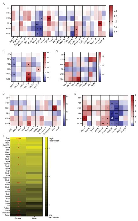 Biomolecules Free Full Text Sexual Dimorphism In Metabolic Responses To Western Diet In