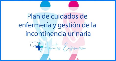 Plan De Cuidados De Enfermería Y Gestión De La Incontinencia Urinaria 【2024】