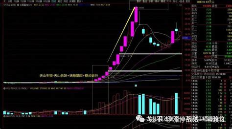 集合竞价如何选股 知乎