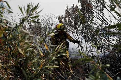 California Vasto Incendio Vicino A Santa Cruz Danni Ed Evacuazioni