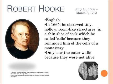 Robert Hooke Cell Theory Timeline