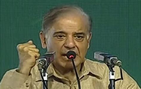 Shehbaz Urges People To Avenge Rigging Of Polls With Vote