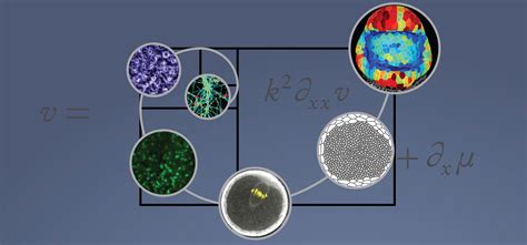 Physics Of Integrated Biological Systems