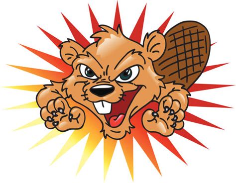 Angry Beavers Cartoons Illustrations Royalty Free Vector Graphics