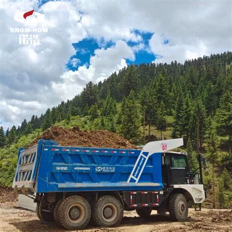 Gcc Approved OEM Know How Nude Packing Mining Electric Dump Truck 350kw