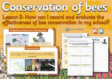 Year 3 Geography Conservation Of Bees How Can I Record And Evaluate