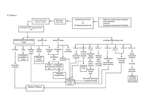 02 Pathway Stroke Hemoragic Pdf