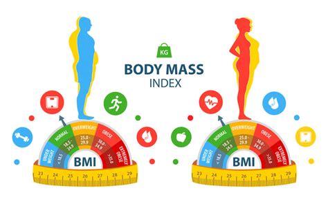 Everything About Body Mass Index Bmi Payatek