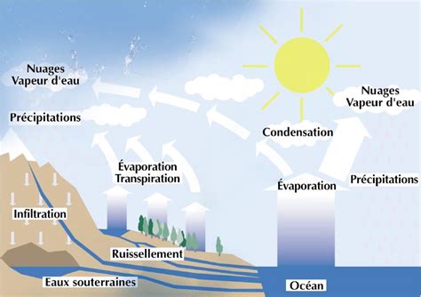 Le Cycle De L Eau Le Voyage De Leau Travers La Terre Centre D