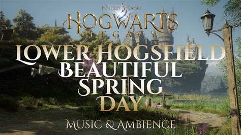 Beautiful Spring Day In Lower Hogsfield Hogwarts Legacy Harry Potter