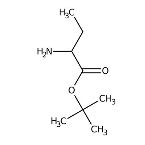 Tert Butyl S Aminobutyrate Hydrochloride Thermo Scientific