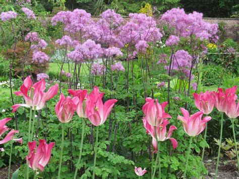 Holehird Gardens - Visit Cumbria