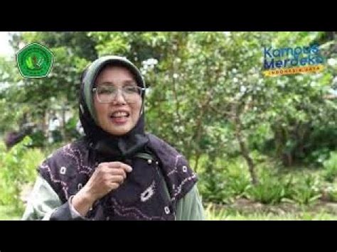 Kegiatan Mbkm Hibah Pkkm Prodi Agroteknologi Youtube