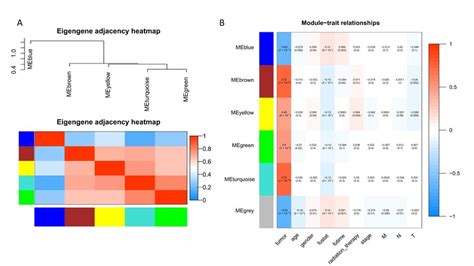 Wgcna Analysis Results A Visualization Of Module Gene Network The