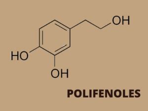 Qué son los polifenoles y por qué debería importarle Fundación