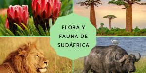 Flora Y Fauna De Andaluc A Caracter Sticas Y Fotos