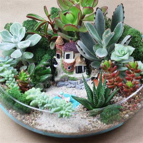 Композиция из кактусов и суккулентов (78 фото) - фото - картинки и ...