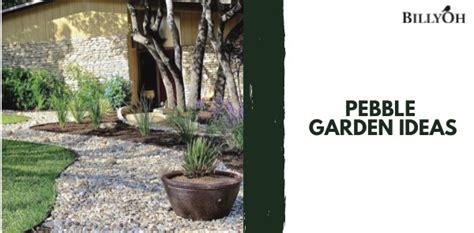 Pebble Garden Ideas For A Low Maintenance Space Extra