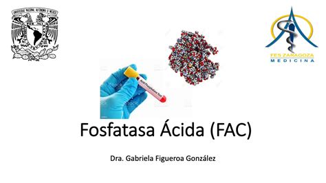 Fosfatasa Ácida Práctica Bioquímica YouTube