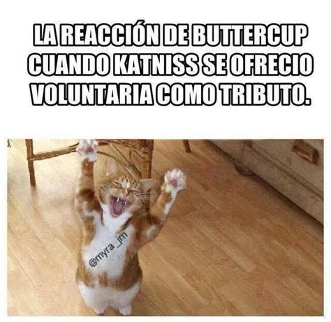 Memes Thg Buttercup Humor De Juegos Del Hambre Juegos Del Hambre