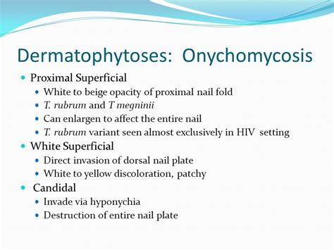 Superficial Fungal Infections Ppt Video Online Download