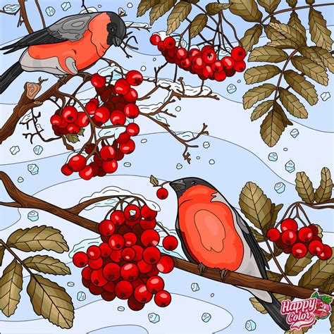 Solve Bullfinches And Berries Jigsaw Puzzle Online With 169 Pieces