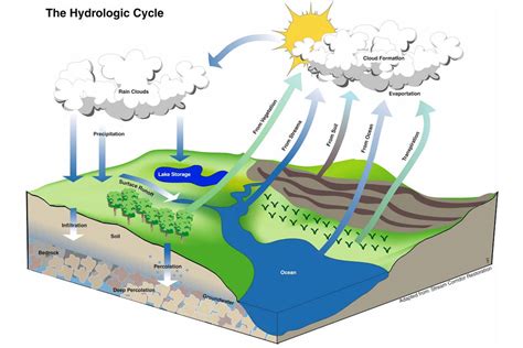 Hydrologic Cycle Diagram