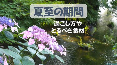 2022年版！夏至の期間の過ごし方【夏至とはどんな日？時期・期間はいつ？とるべき食材・食べ物は？】 Smjuk ～ヨガと星で心を科学する～