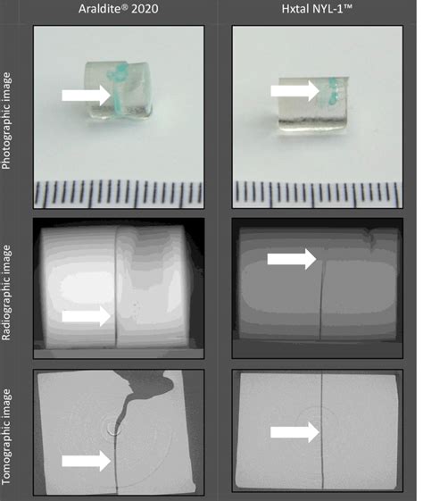 Fig C Overview Of The Photographic Radiographic And Tomographic