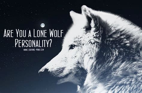 8 Powerful Traits Of A Lone Wolf Personality And A Free Test Learning Mind