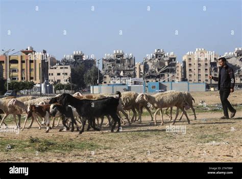 Gaza Palestina 2 De Diciembre De 2023 Un Hombre Palestino Encabeza