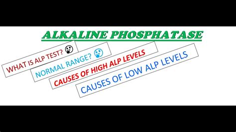 Alkaline Phosphatase Test Alp Test Normal Range Low Alp Causes