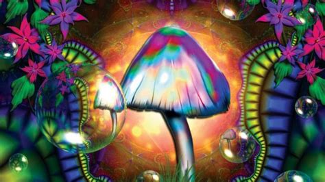 Magic Mushroom Wallpapers - Top Free Magic Mushroom Backgrounds ...