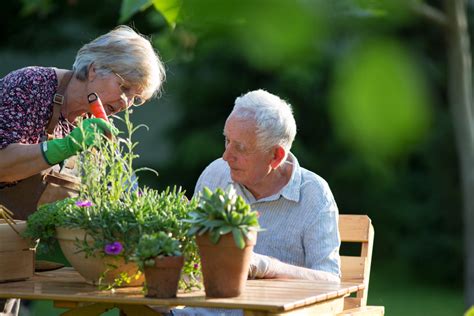 Health Benefits Of Gardening For Seniors Spring Mill