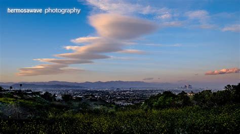 Hermosawave Photography Spring Flowers Over Los Angeles