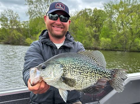 Mn Man Breaks Own State Fishing Record For Black Crappie