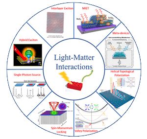 Virtual Online Workshop Light Matter Interactions In Low Dimensional