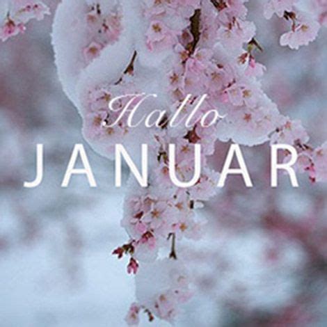 Hallo Januar Hallo 2015 Mycolloseum Hallo Januar