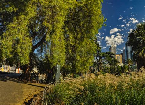 Parks and Gardens of Melbourne Stock Photo - Image of walk, street ...