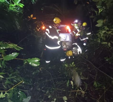 Em Nova Veneza Motorista Cai Em Barranco E Colide Contra Arbusto