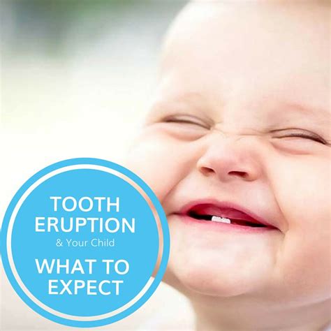 Tooth Eruption & Your Child: What to Expect | Potomac Pediatric Dentistry