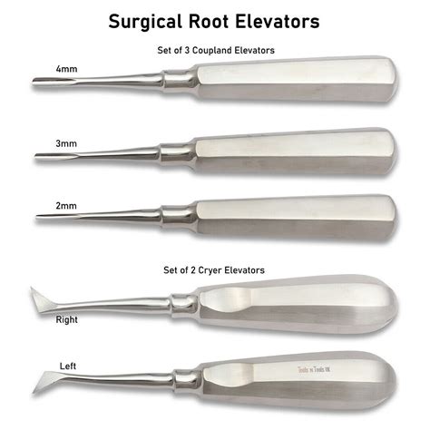 Dental Root Elevators Coupland Cryer Tooth Luxation Extractor Etsy