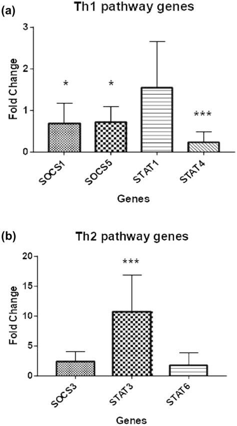 A B Represent Bar Graphs Showing Fold Change In Expression Of Genes