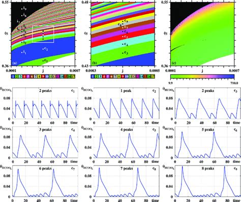 Systematic Pattern Complexification Of The Y Hcoo L Oscillations A