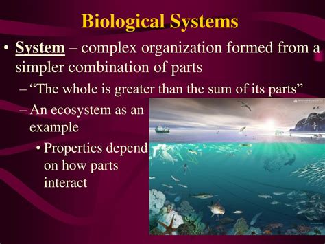 PPT Chapter 1 The Scope Of Biology PowerPoint Presentation Free