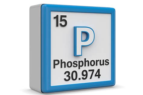 UK roadmap for managing phosphorus - All About Feed 
