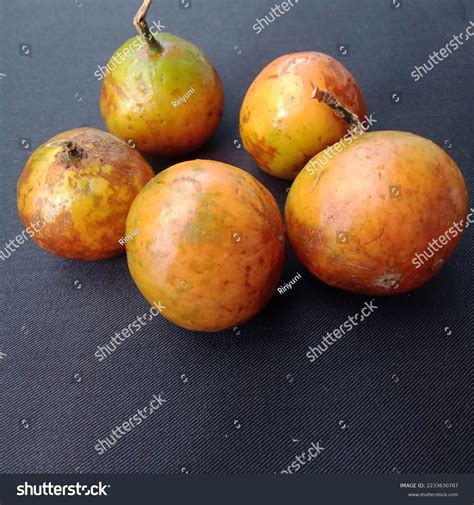 Fresh Baccaurea Racemosa Buah Menteng Kapundung Stock Photo 2233630787 | Shutterstock