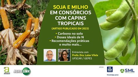 Soja E Milho Em Cons Rcio Capins Tropicais Youtube